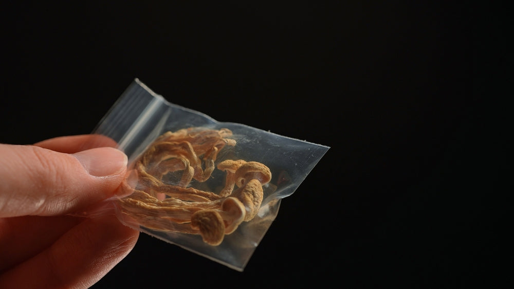 Test For Magic Mushrooms UKDrugTesting